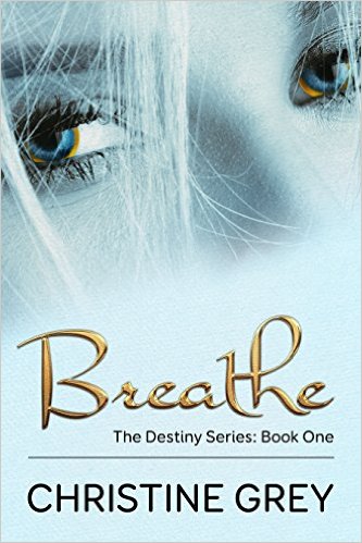 YA Fantasy Romance $1 Deal`